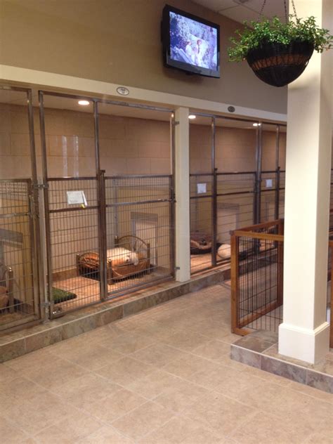 broadmoor kennel